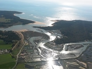 Vue aérienne des parcs à huitres de Vendée