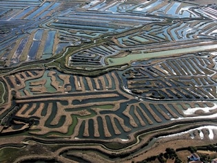 Vue aérienne des marais salants de Vendée