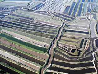 Vue aérienne des marais salants de Vendée
